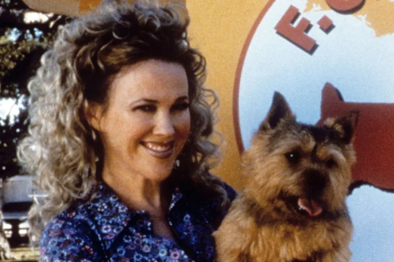 Westminster Dog Show's 'Best in Show' Tribute Goes Viral: Norwich Terrier Judging Pauses for Catherine O'Hara Memorial