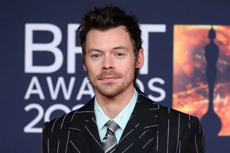 Harry Styles' 'Carla's Song' Mystery Solved: The Paul Simon Fan Who Inspired His Most Personal Track Yet