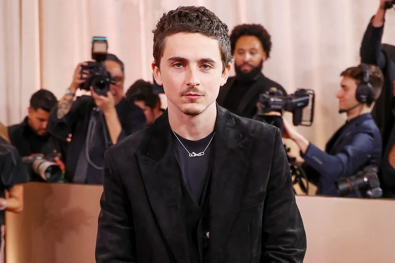 Timothée Chalamet's 'Dying Arts' Bombshell: Viral 2019 Video Sparks Opera & Ballet War, Doja Cat & The View Weigh In