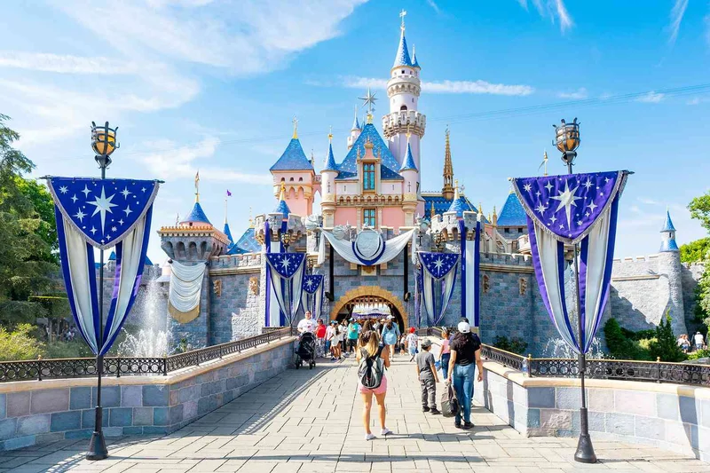 Disneyland's 70th Anniversary Celebration Marred by Backstage Chemical Incident: 8 Cast Members Hospitalized